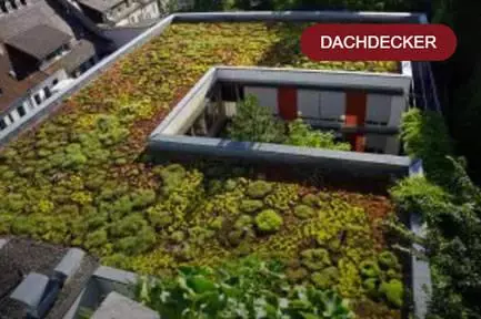 Energieeffiziente D&auml;cher f&uuml;r 61440 Oberursel (Taunus)